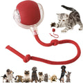 Red Smart Chase Ball with Speedy Tail Rope Rechargeable for Pets