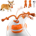 USB Rechargeable Motion-Activated Rolling Ball for Puppy/Small Dogs