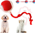 Red Rechargeable Smart Self-Rolling Cat & Dog Ball
