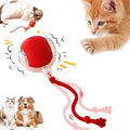 360° Smart Automatic Electric Ball for Cats & Dogs