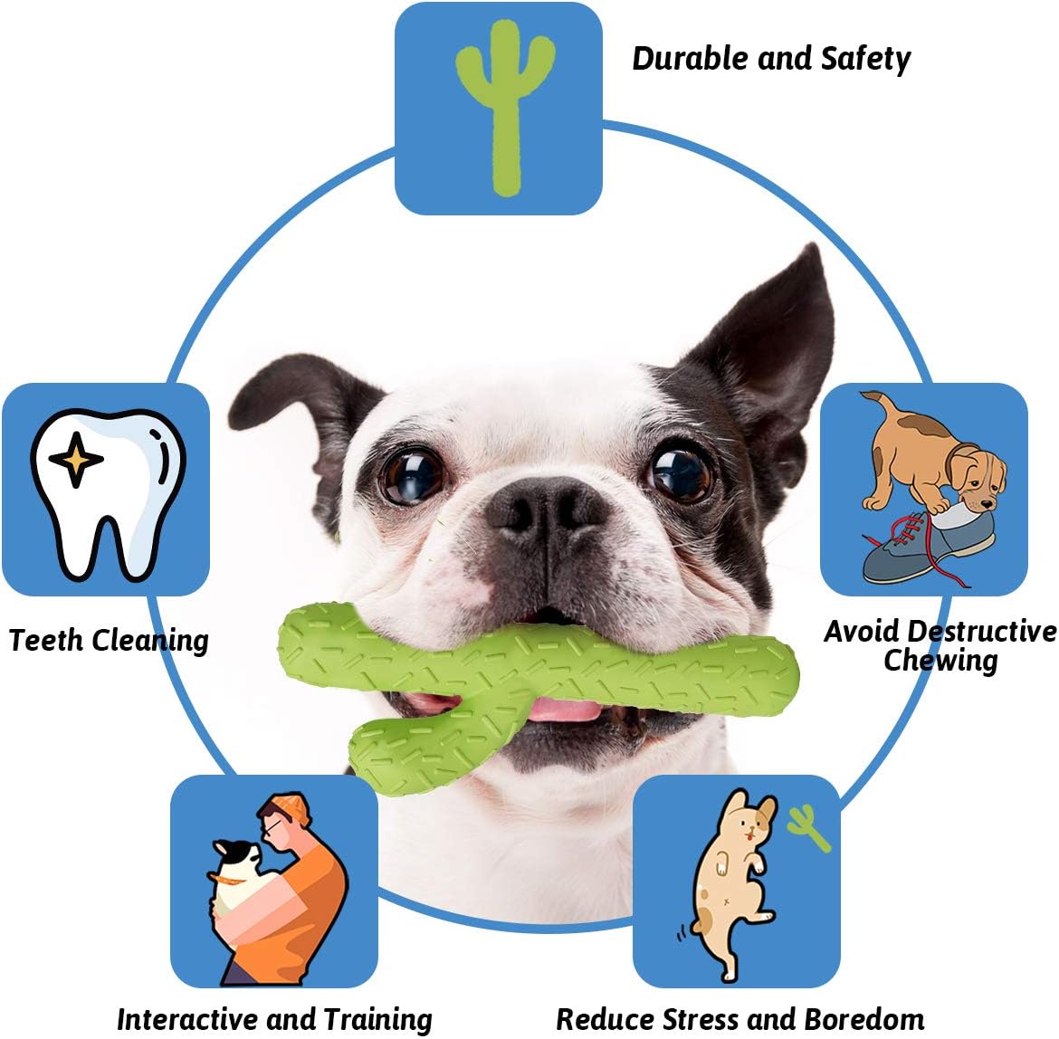 Rubber Cactus Chew Toy for Aggressive Chewers Small/Medium