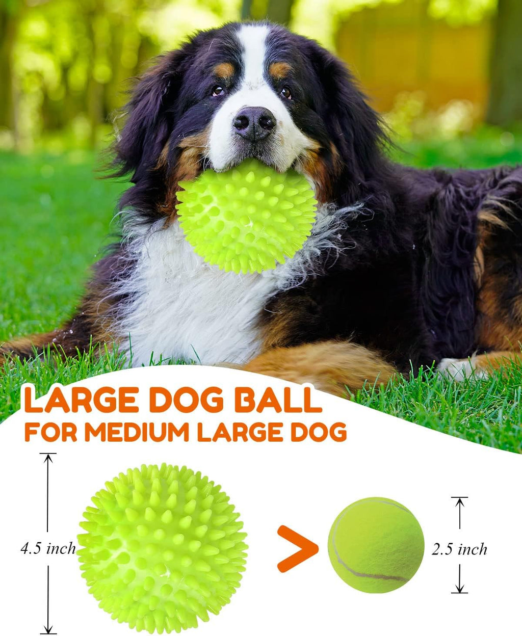 2-Pack 4.5" Heavy Duty Spike Squeaky Balls for Medium/Large Dogs