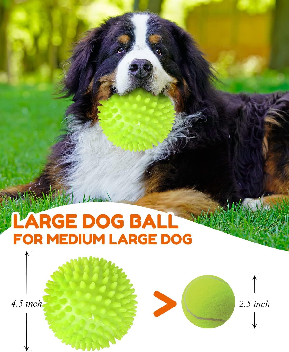 2-Pack 4.5" Heavy Duty Spike Squeaky Balls for Medium/Large Dogs