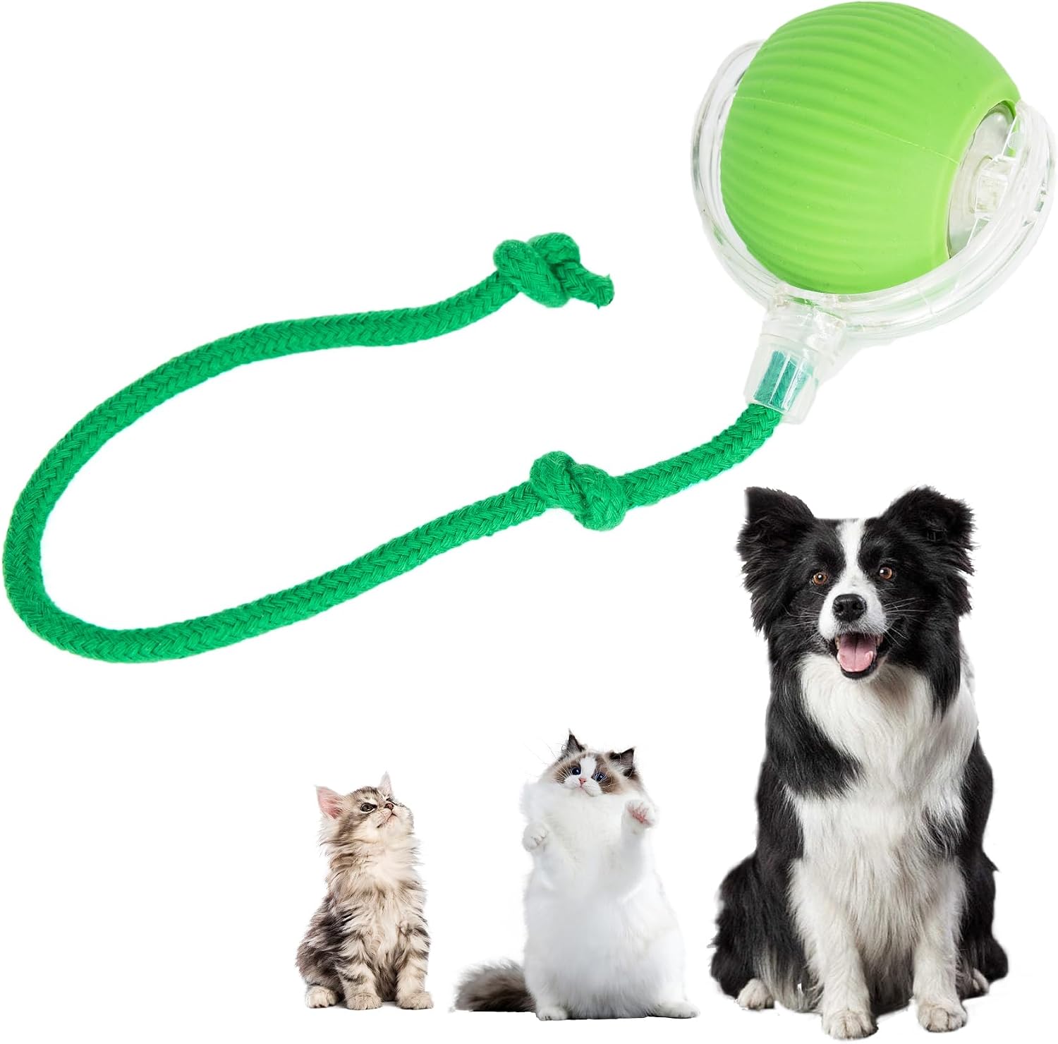 Green 360° Automatic Self-Moving Electric Ball for Cats & Dogs