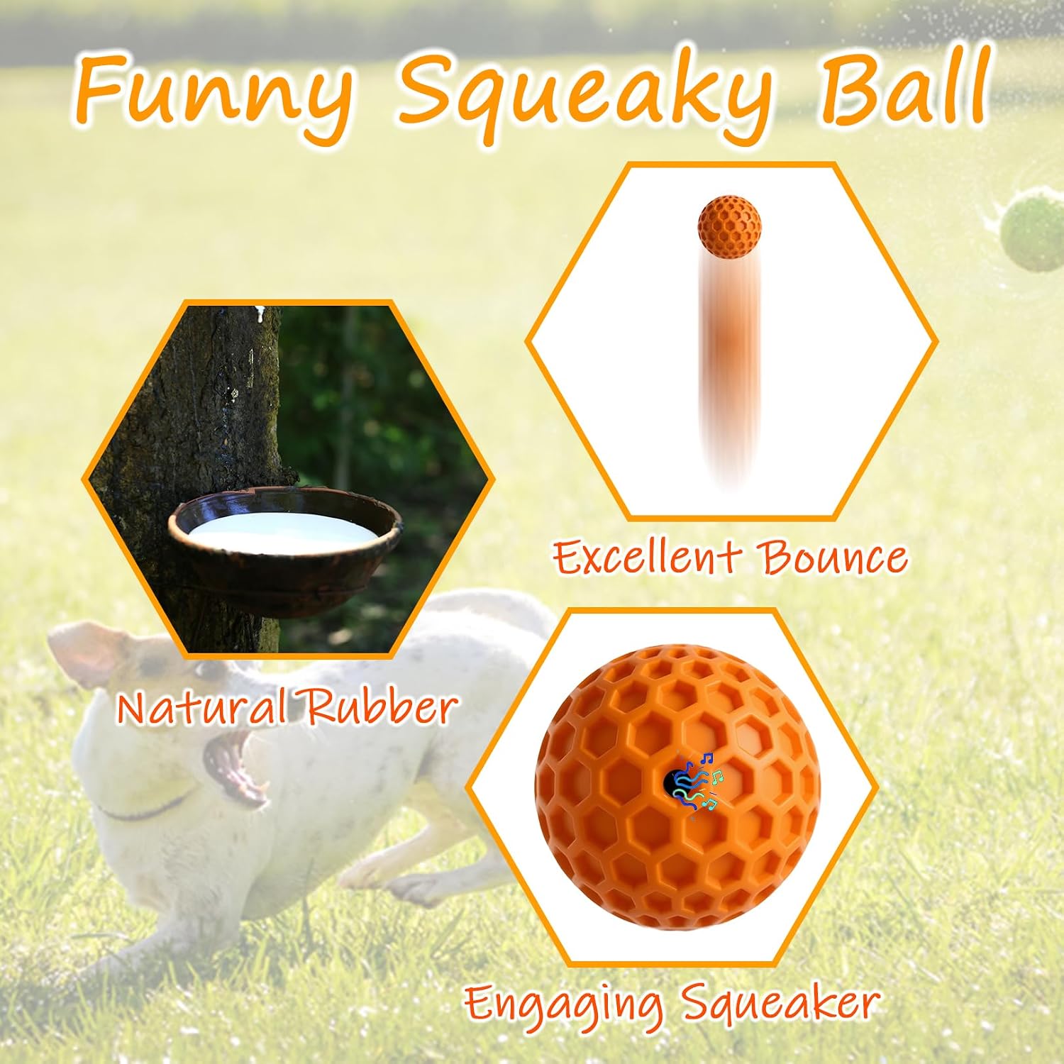 2-Pack Rubber Squeaky Fetch Balls for All Size Dogs