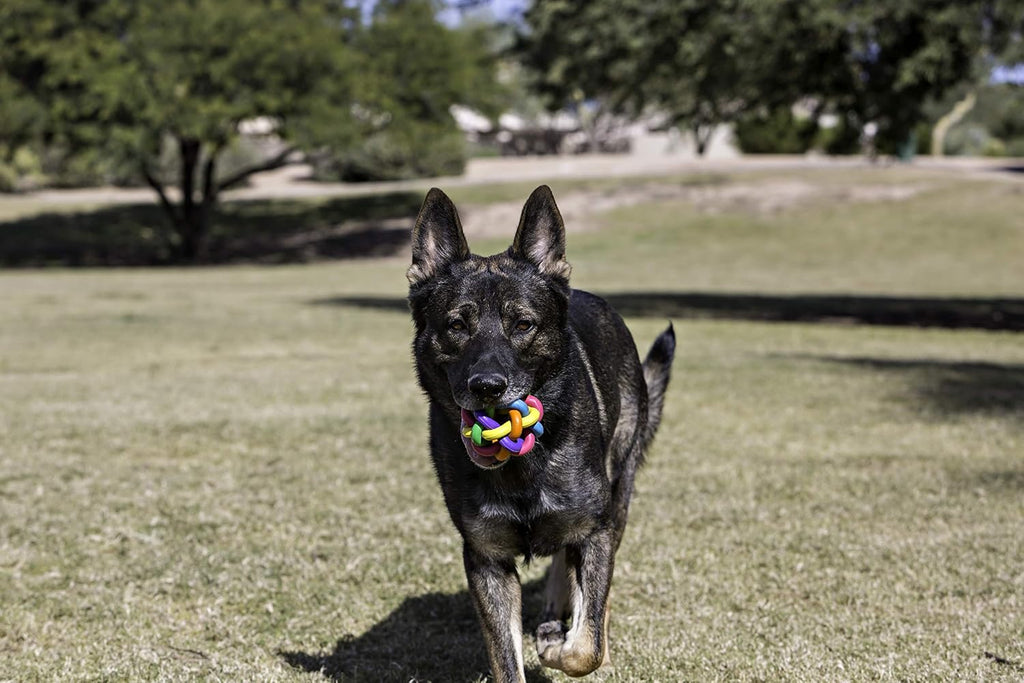 Medium Nobbly Wobbly Rubber Ball for Small Breeds