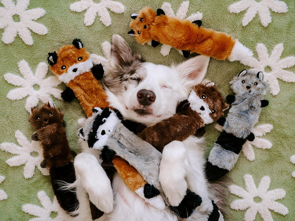 No-Stuffing Plush Squeaky Toy Pack Fox Raccoon Squirrel 11"